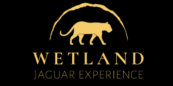 /wetlandjaguarexperience.com